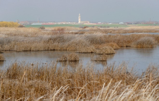 Los humedales: el milagro medioambiental contra el cambio climático