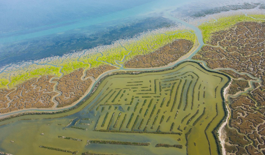 El potencial de los humedales como sumidero de carbono. LIFE Wetlands4Climate