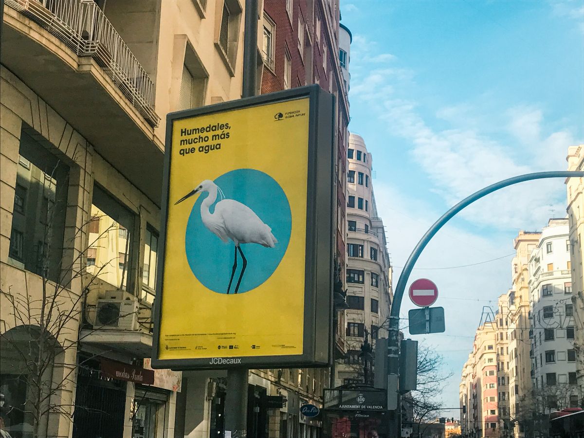 “Humedales, mucho más que agua”, la campaña que inunda València
