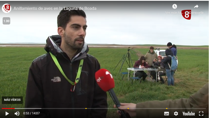 Celebramos el Dia Mundial de las Aves Migratorias