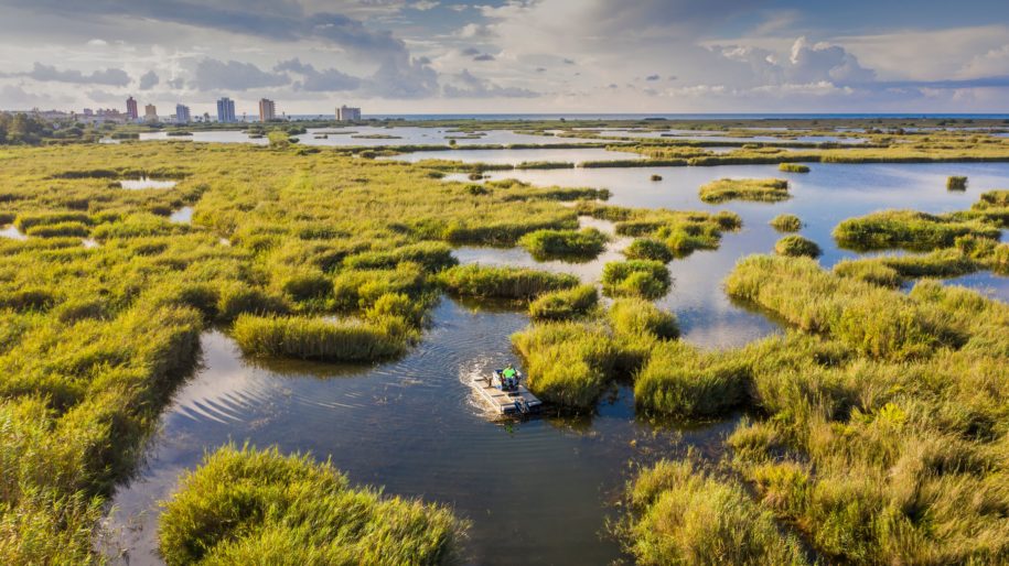 Global Nature urge a las autoridades a apostar por una agricultura que conserve la naturaleza
