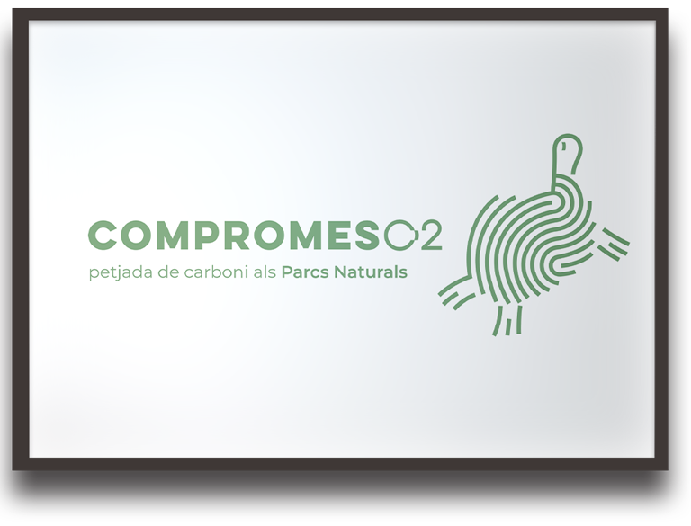 COMPROMESO2: Presentación de primeros resultados del proyecto LIFE W4C