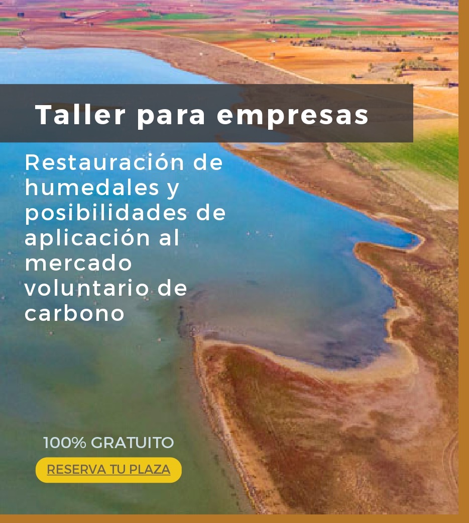 13 jun.- Taller sobre restauración de humedales y posibilidades de aplicación al mercado voluntario de carbono
