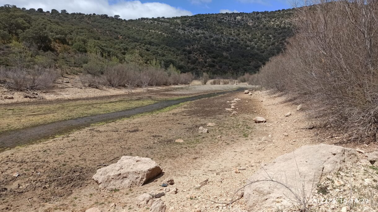 Global Nature exige abordar la sequía como un problema estructural agravado por el cambio climático