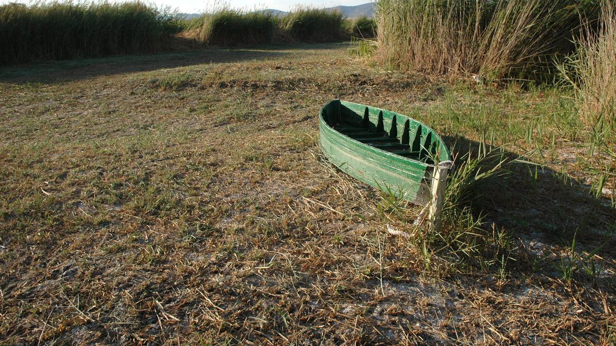 Los humedales españoles se mueren de sed: el 80% está en declive