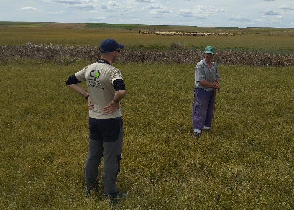 Naturaleza Pastoreada para preservar los humedales de La Nava