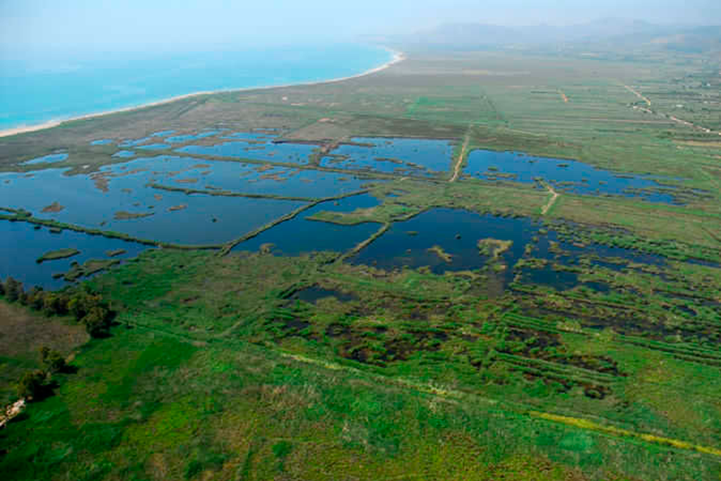 Un congreso analizará en Valencia el papel de los humedales para mitigar el cambio climático