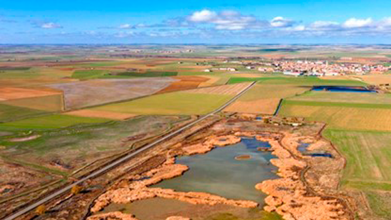 La restauración de humedales resulta clave para mitigar el cambio climático