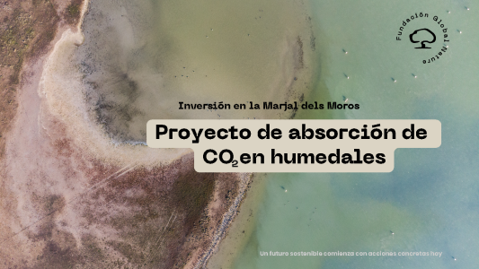 Proyecto-absorcion-MarjalMoro_Pagina_01