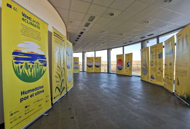 exposicion (3)