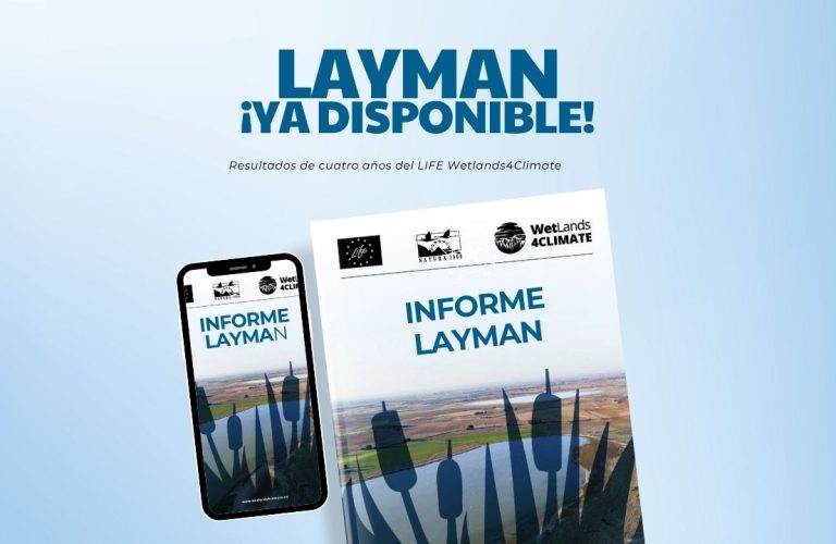 layman-ya-disponible