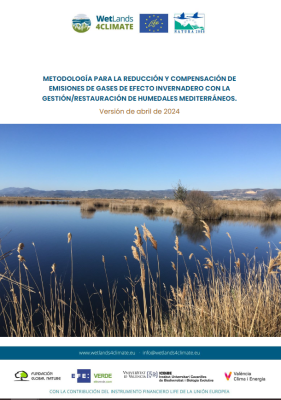 metodologia